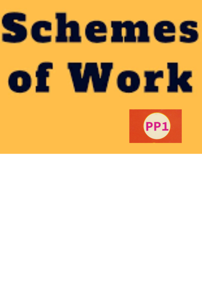 PP1 SCHEMES OF WORK